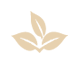 icona_h