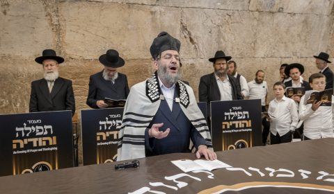 מעמד תפילה והודיה לציון 80 שנה ליום השחרור וההצלה בכותל המערבי – כ"ו אייר תשפ"ה