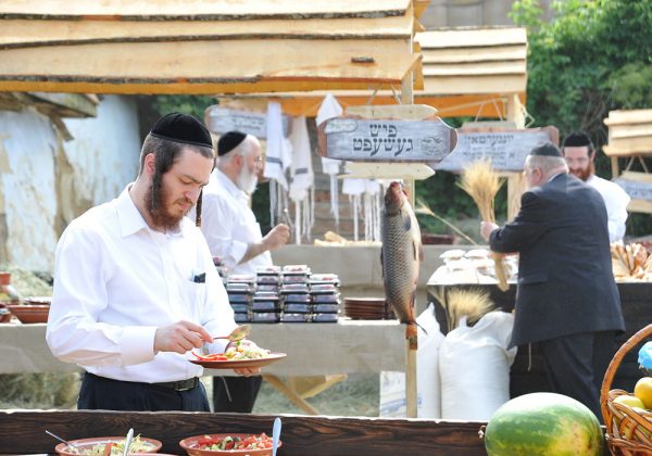 וועידה למוסדות 'אלכסנדר'